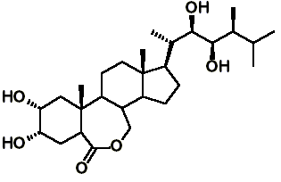 Brassinosteroid biosynthesis review
