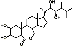 BRASSINOLIDE.GIF