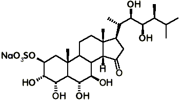 14epitamsterone sulfate