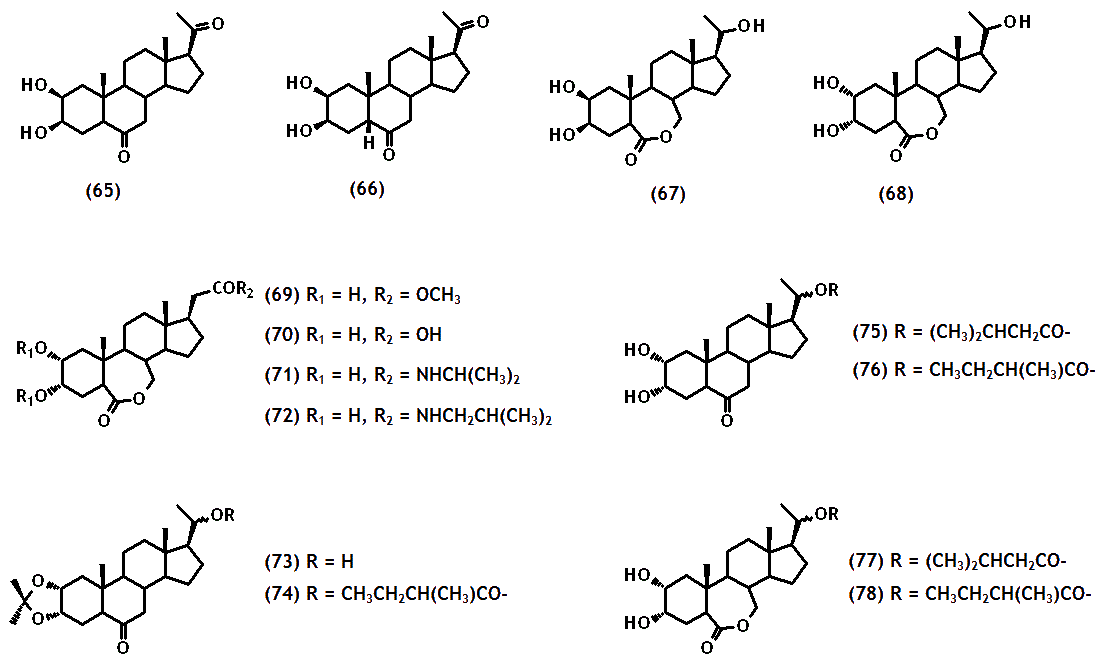 fig06brevcub.gif