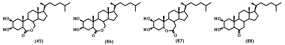 fig07brevcub.gif